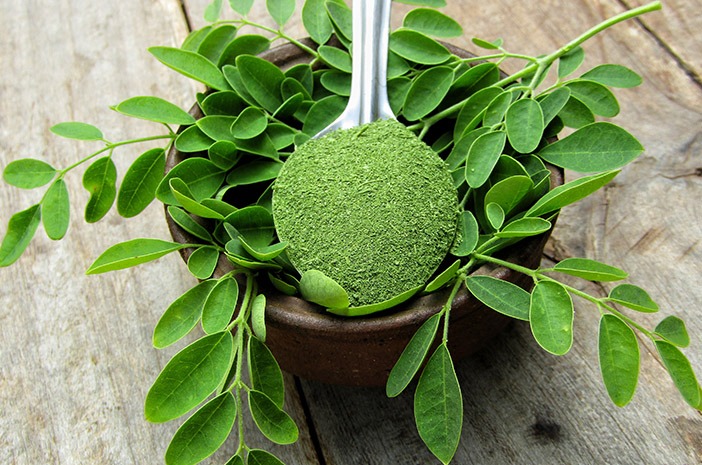 Moringa, beneficii importante pentru sănătate