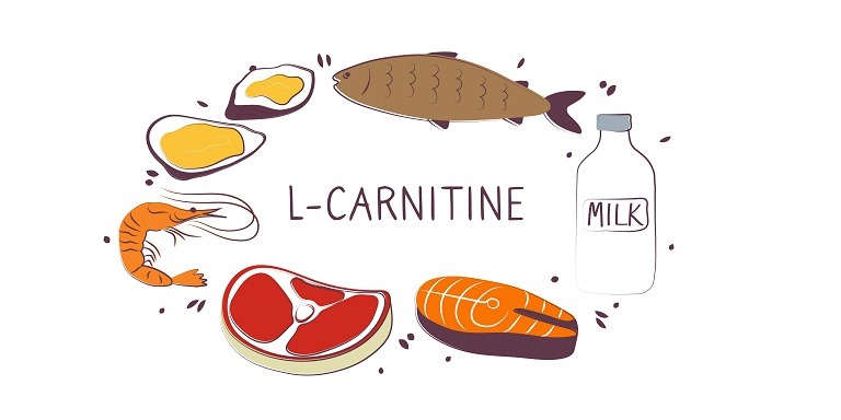 L-carnitina, un supliment la modă cu numeroase beneficii