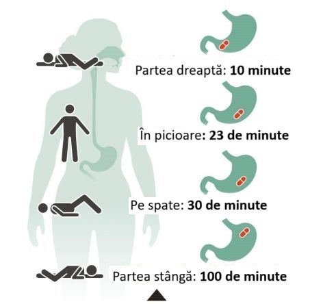 cat de repede se absorb medicamentele